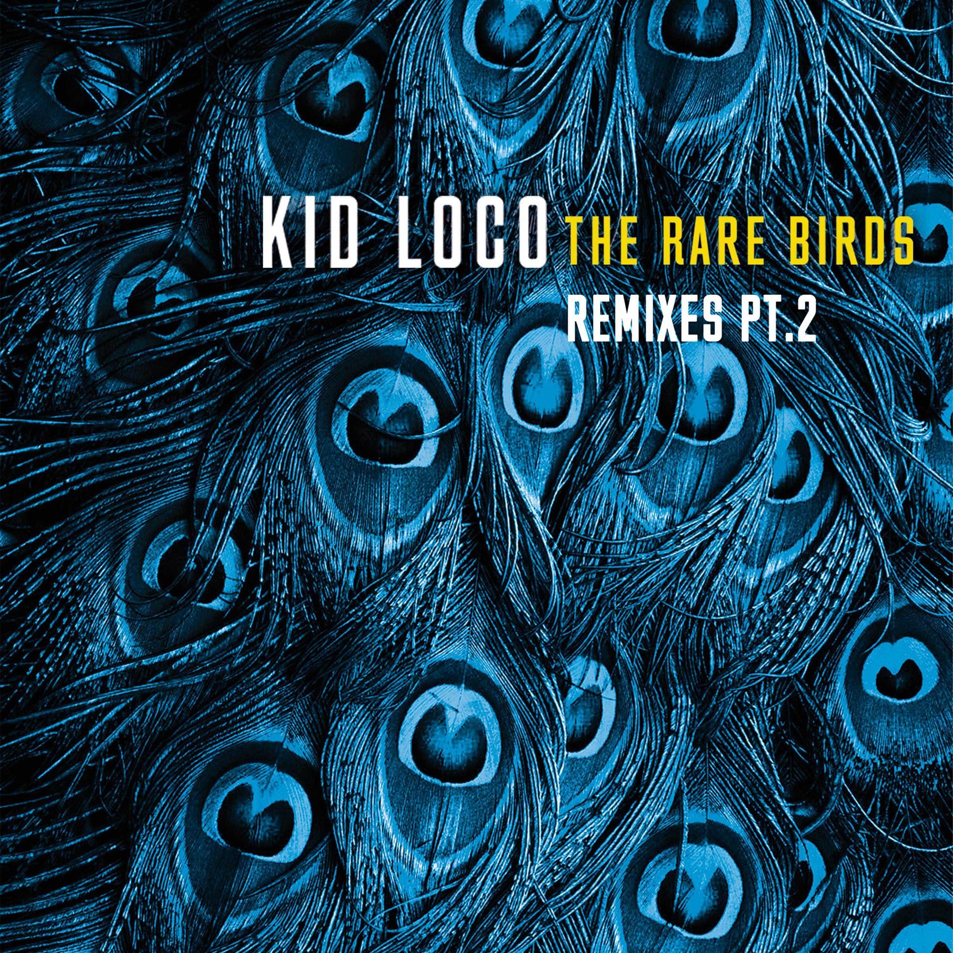 The Rare Birds Remixes, Pt. 2 album art