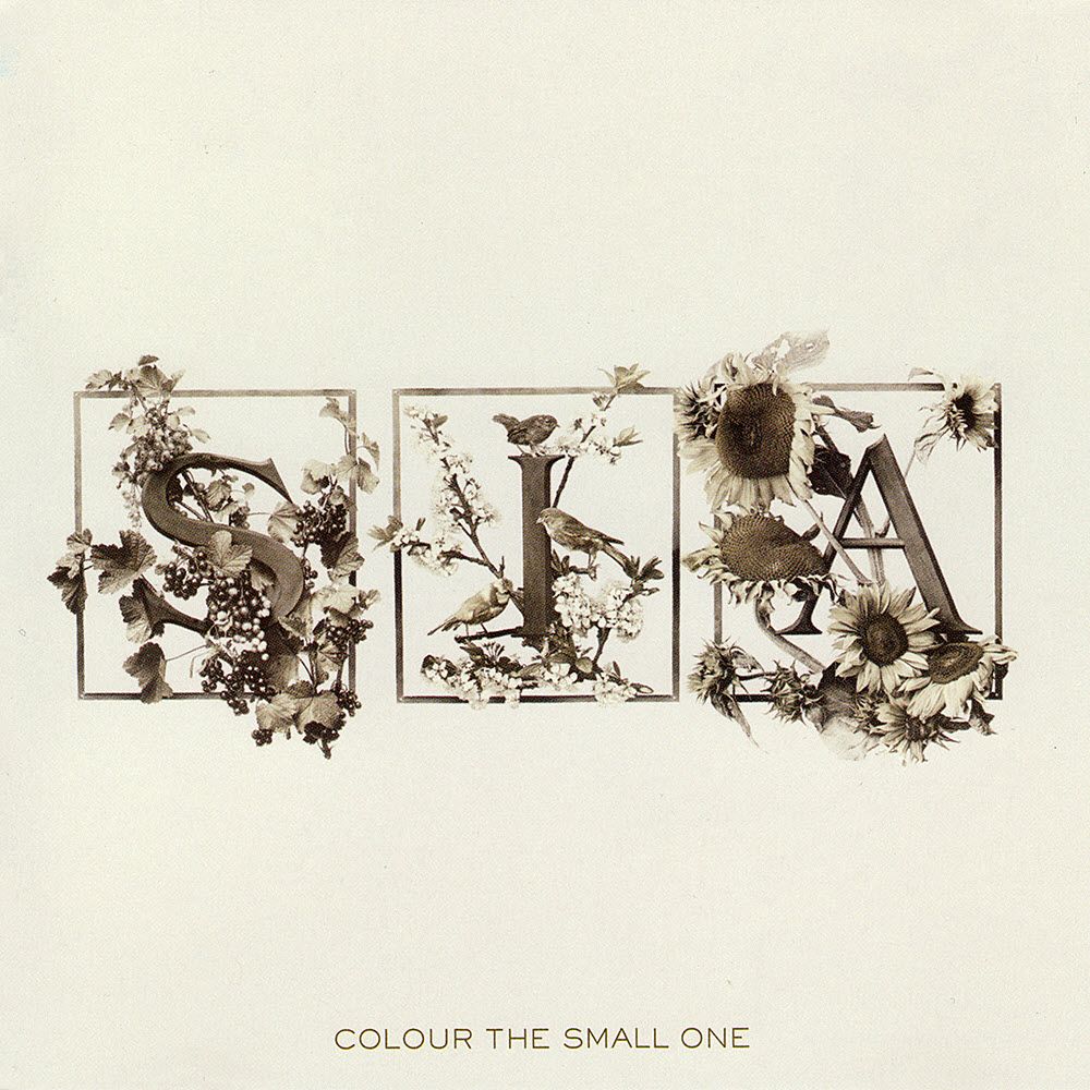 Colour The Small One album art