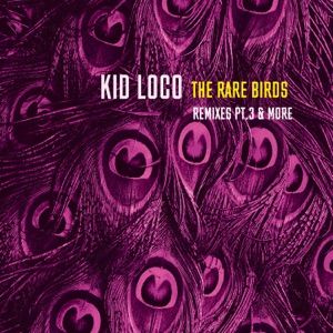 The Rare Birds Remixes, Pt.3 & More album art