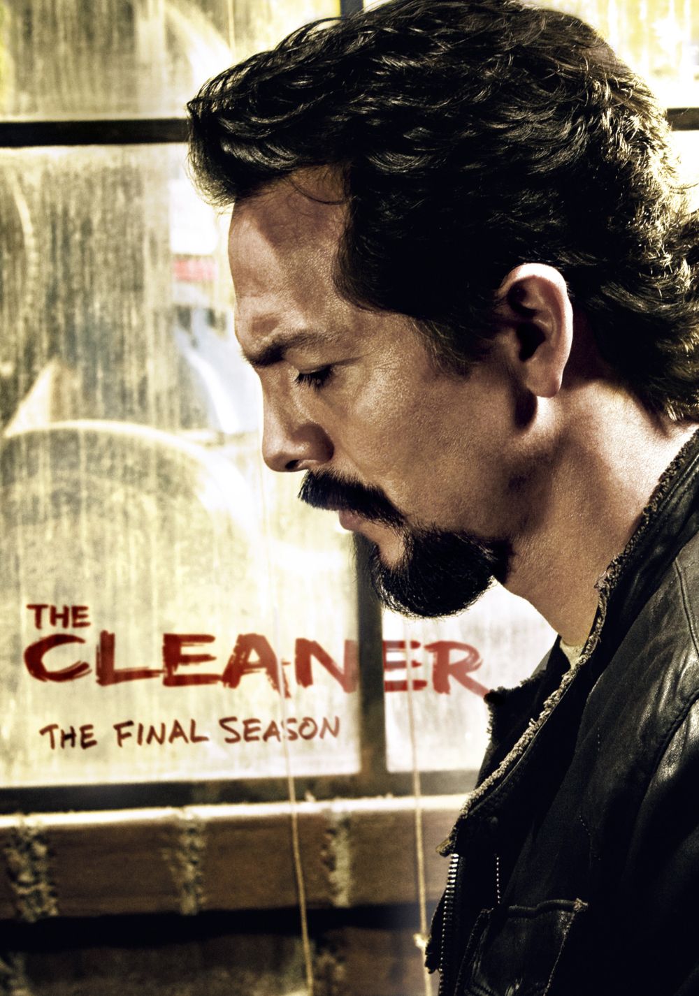 Watch The Cleaner S2