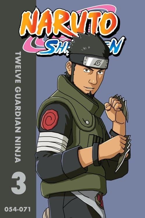 Naruto Shippuden (TV Series 2007-2017) - Pósteres — The Movie Database  (TMDB)