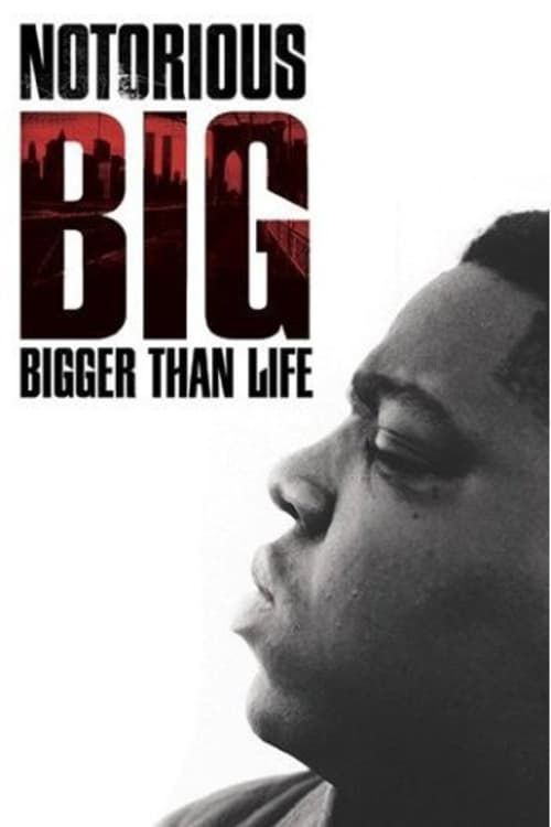 Watch Biggie: I Got a Story to Tell