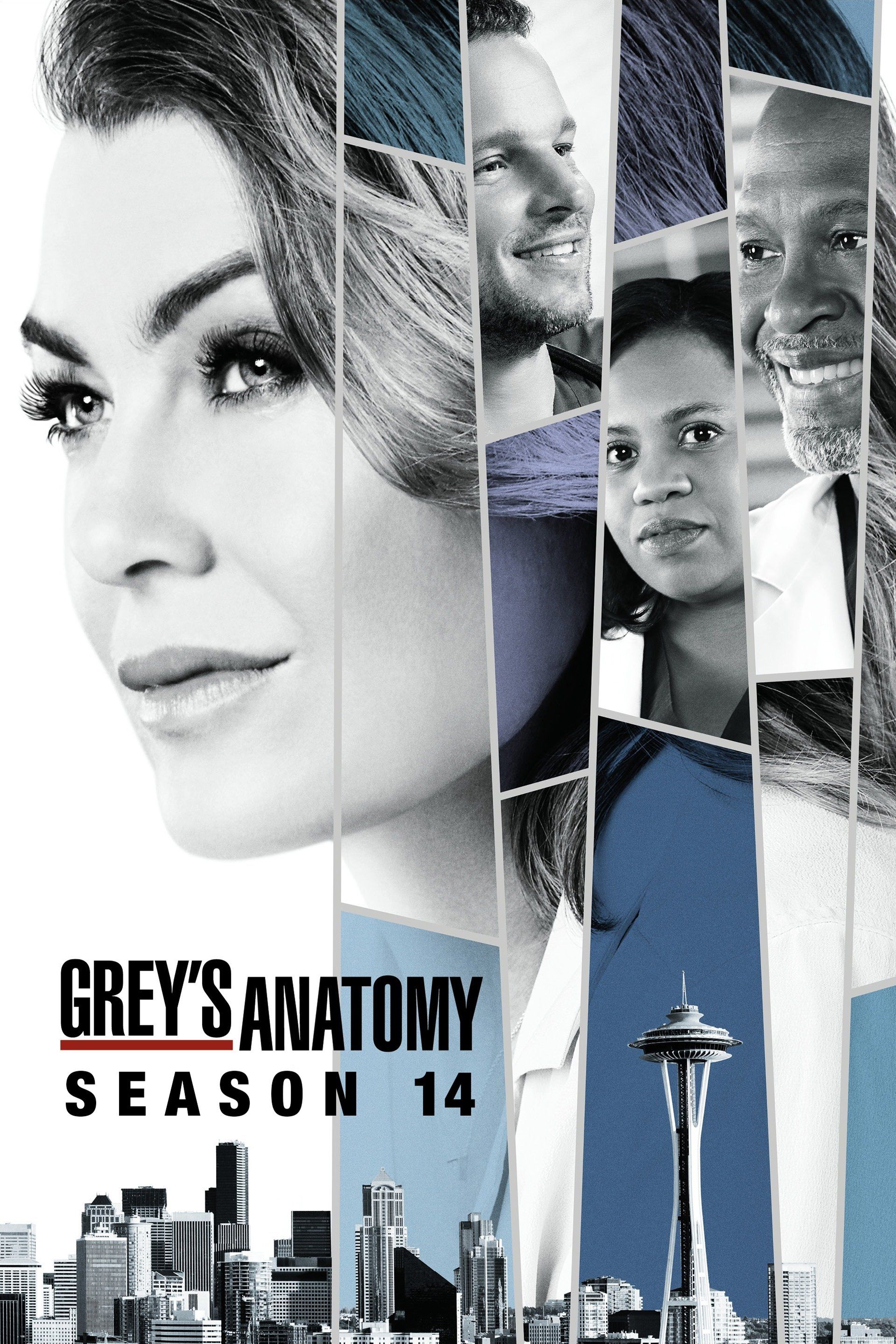 Watch Grey's Anatomy (2005) TV Series Free Online - Plex