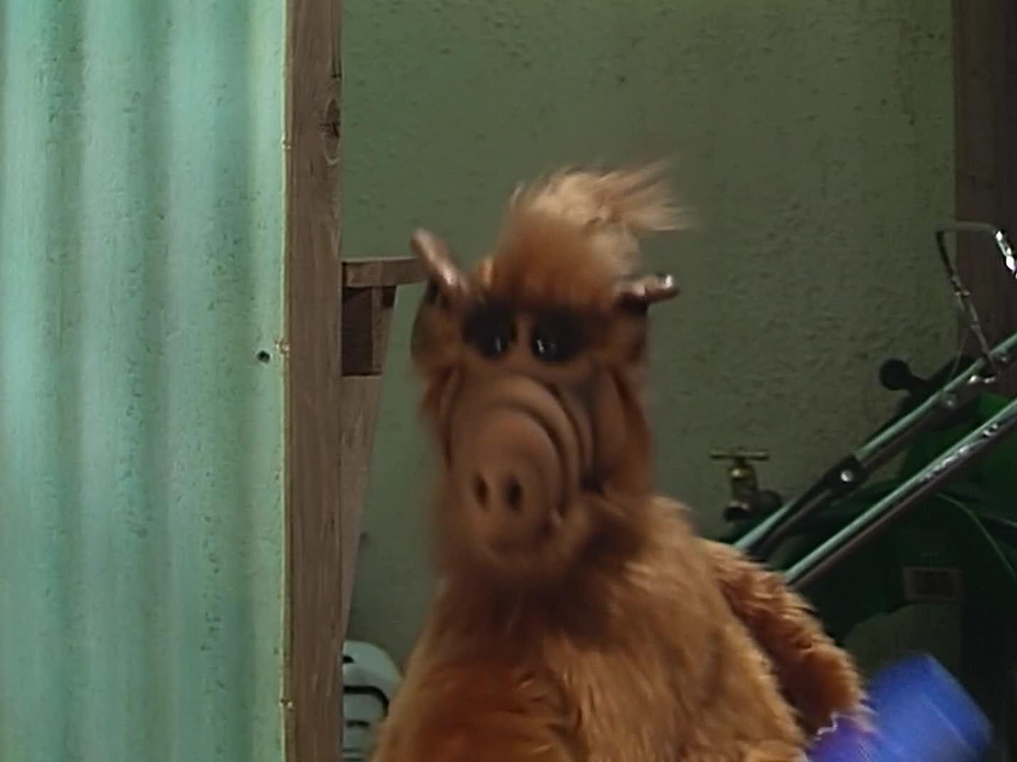 Watch ALF · Season 2 Episode 15 · We're So Sorry, Uncle Albert Full Episode  Free Online - Plex