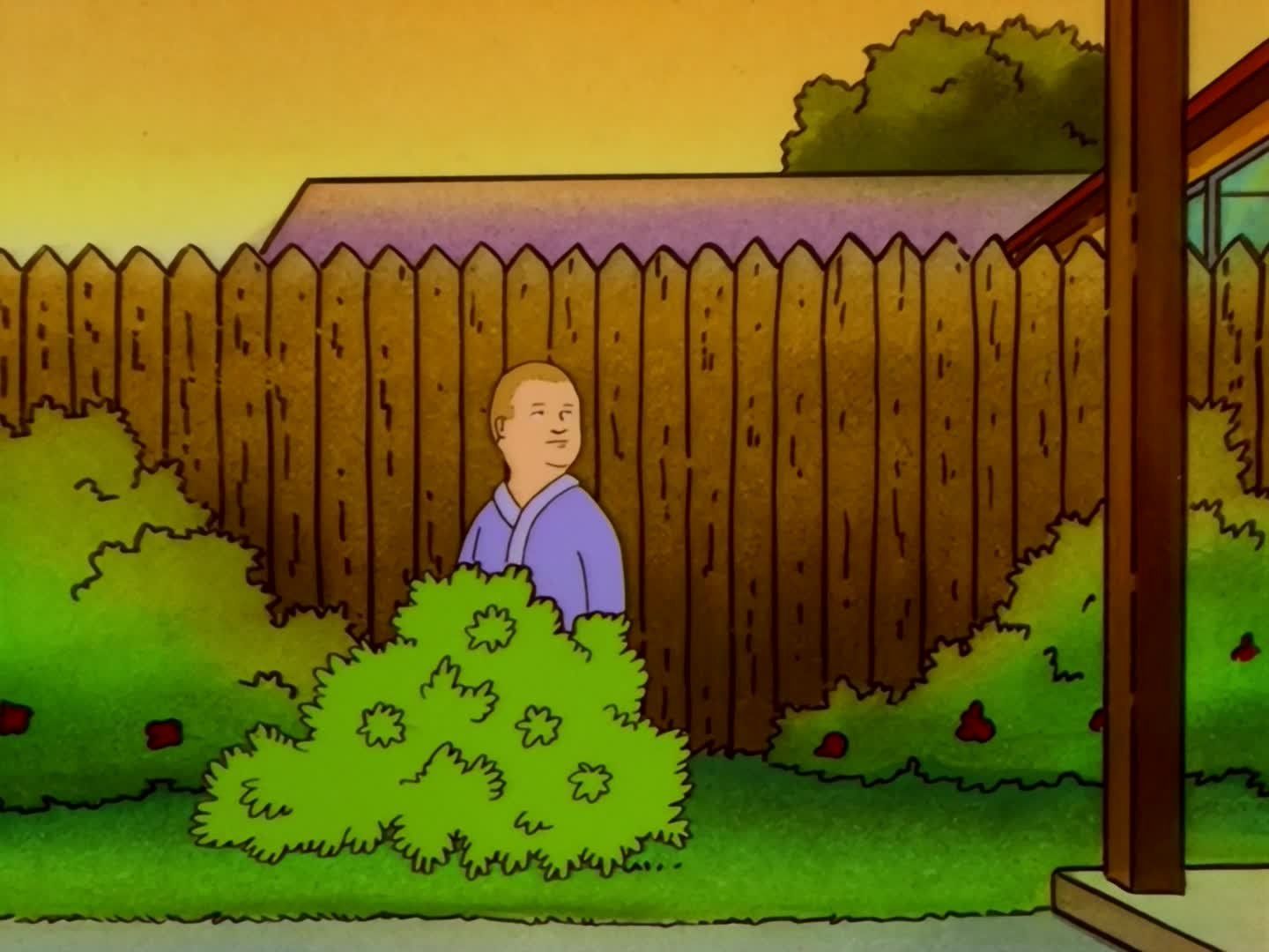 Watch King of the Hill · Season 6 Full Episodes Online - Plex