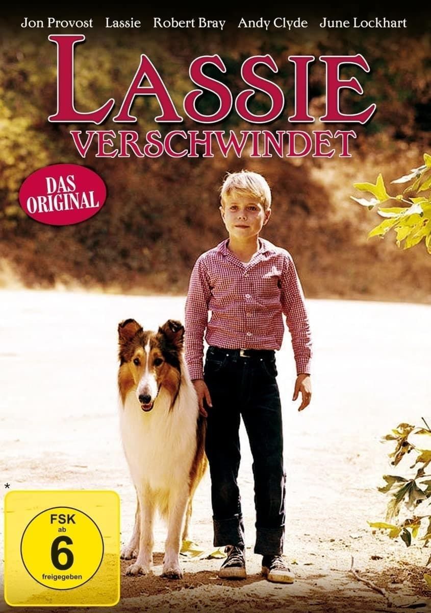 LASSIE: THE NEW BEGINNING - FREE FULL FAMILY MOVIE 🎥🐶 