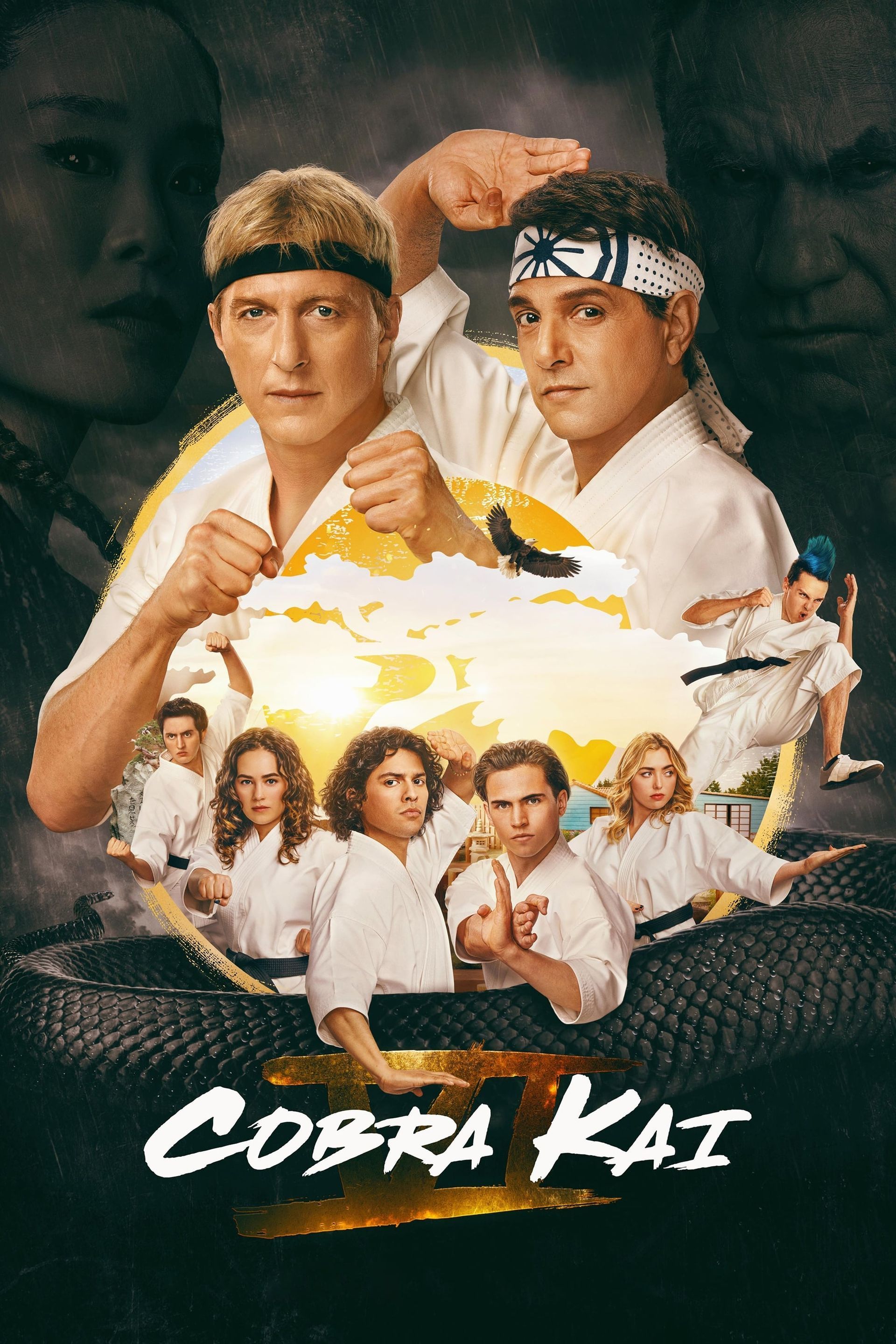 Watch Cobra Kai (2018) TV Series Online - Plex