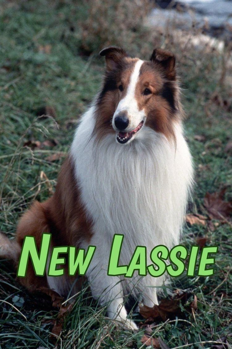 Lassie & My TV Career