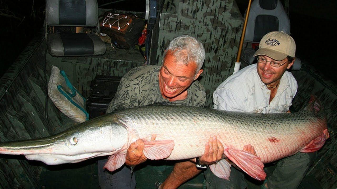 Watch River Monsters