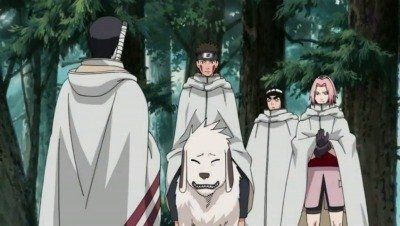 Watch Naruto Shippuden · Immortal Devastators - Hidan and Kakuzu Full  Episodes Online - Plex