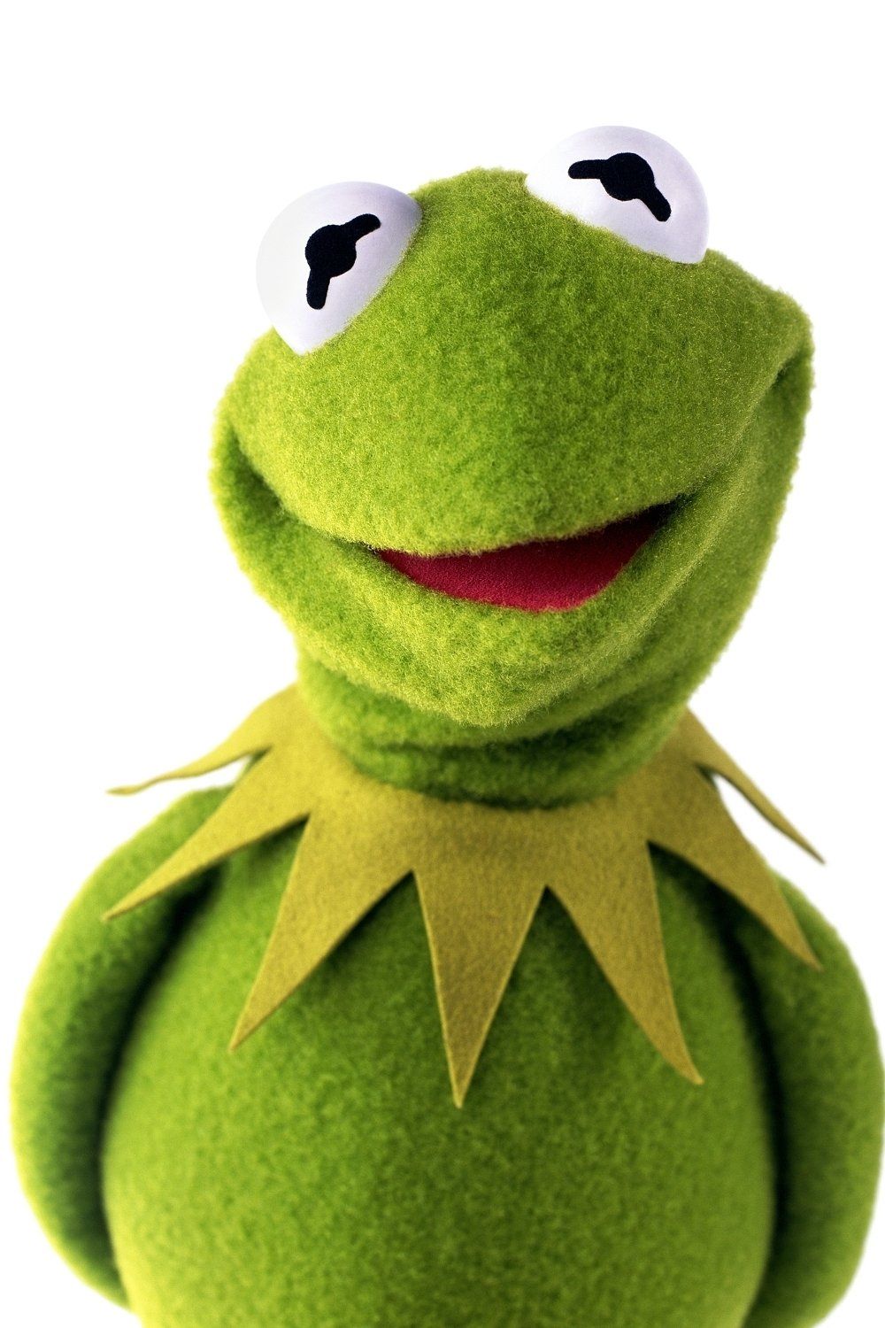 Photo of Kermit the Frog