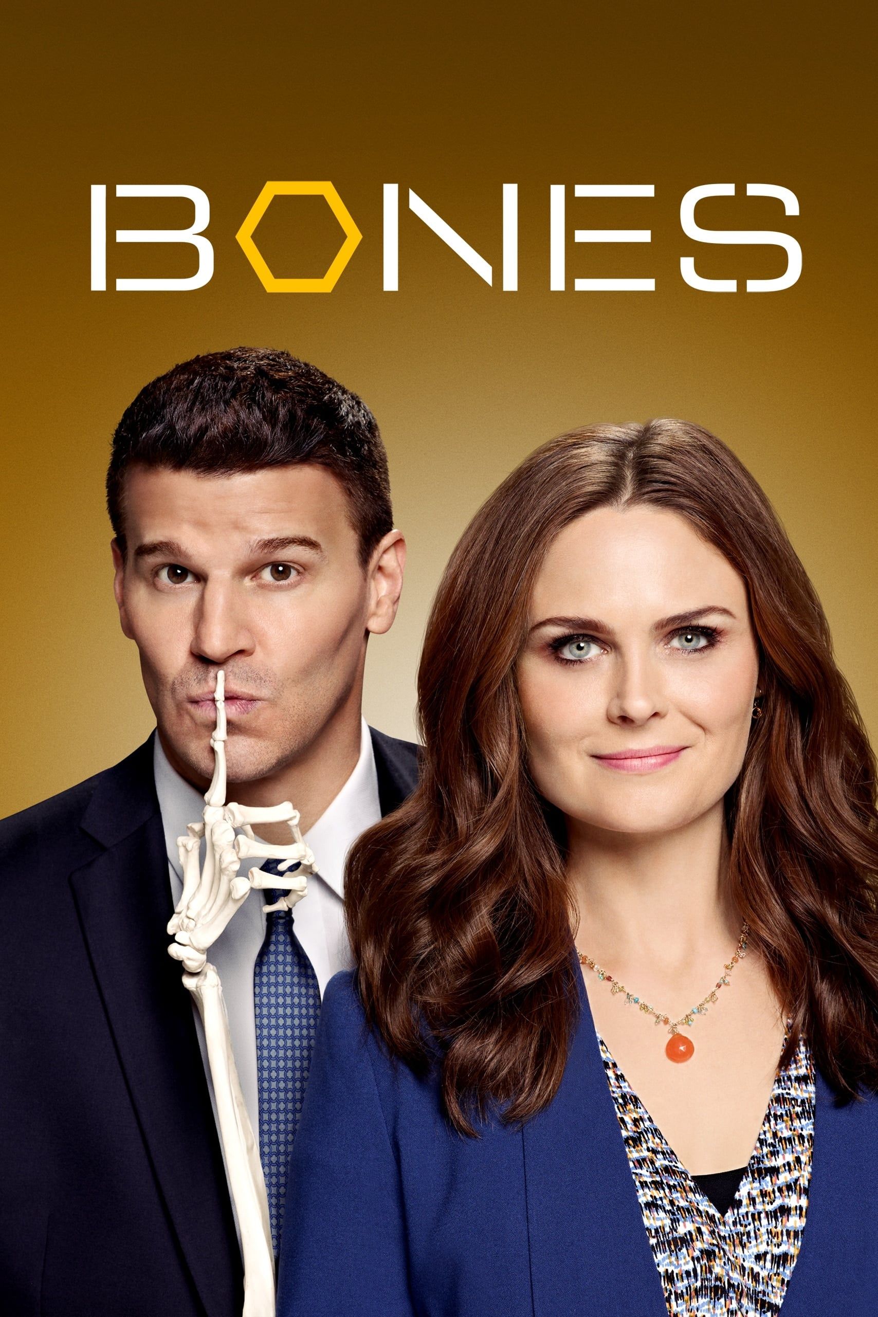 Watch Bones · Season 9 Full Episodes Free Online - Plex