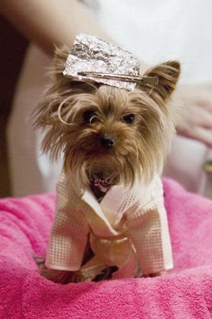 Photo of Manly "Little Pickles" Ortega