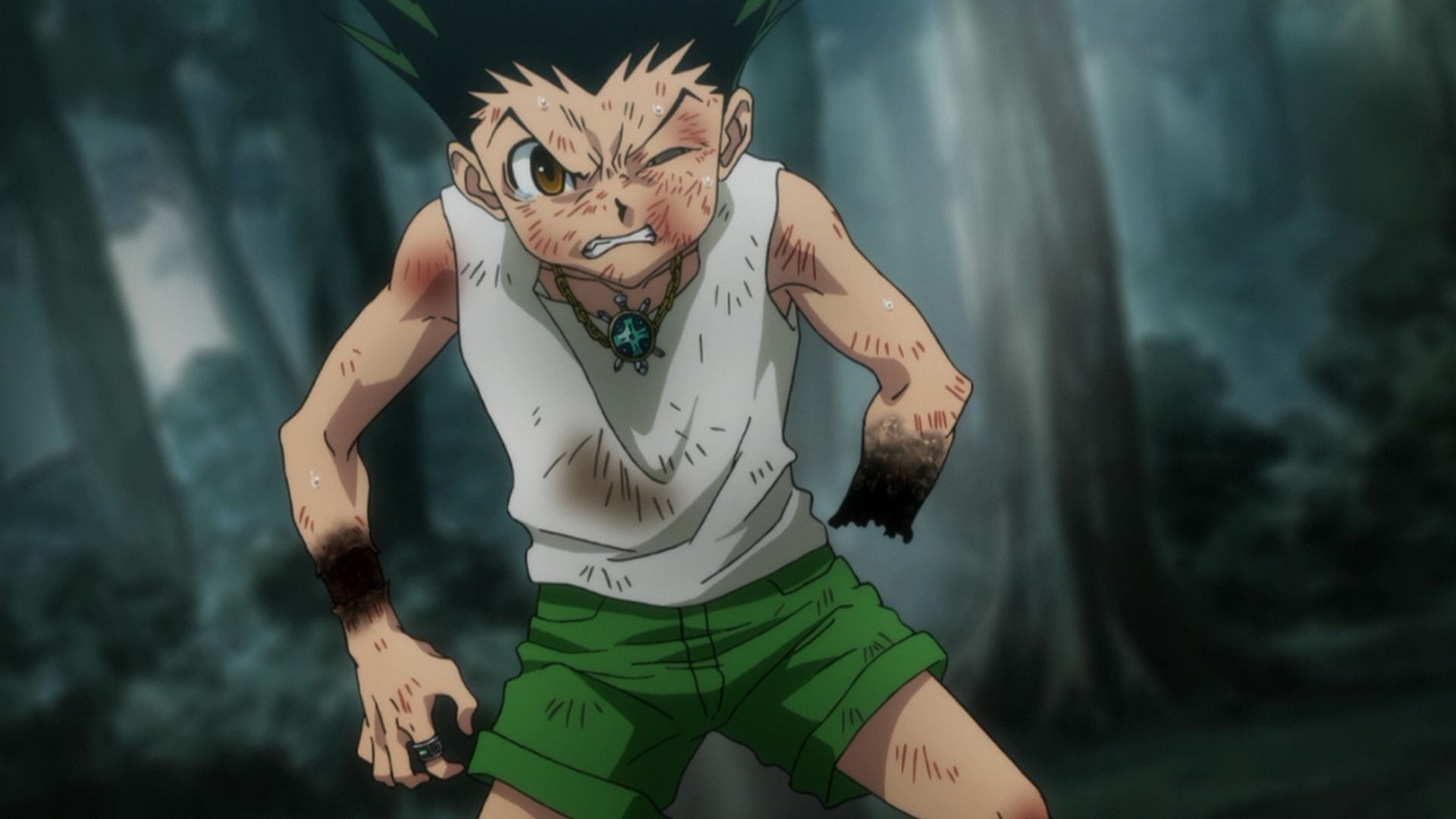 Hunter x Hunter (2011) · Season 2 Episode 75 · Ging's Friends x And x True  Friends - Plex