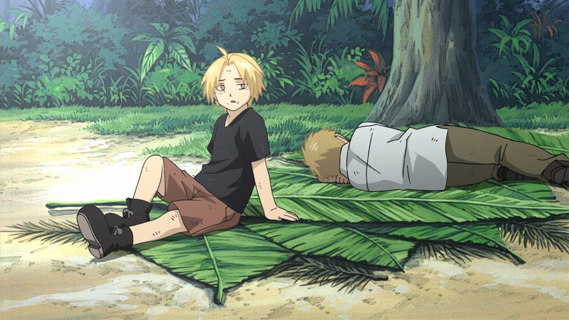 Watch Fullmetal Alchemist: Brotherhood · Season 1 Episode 36 · Family  Portrait Full Episode Online - Plex