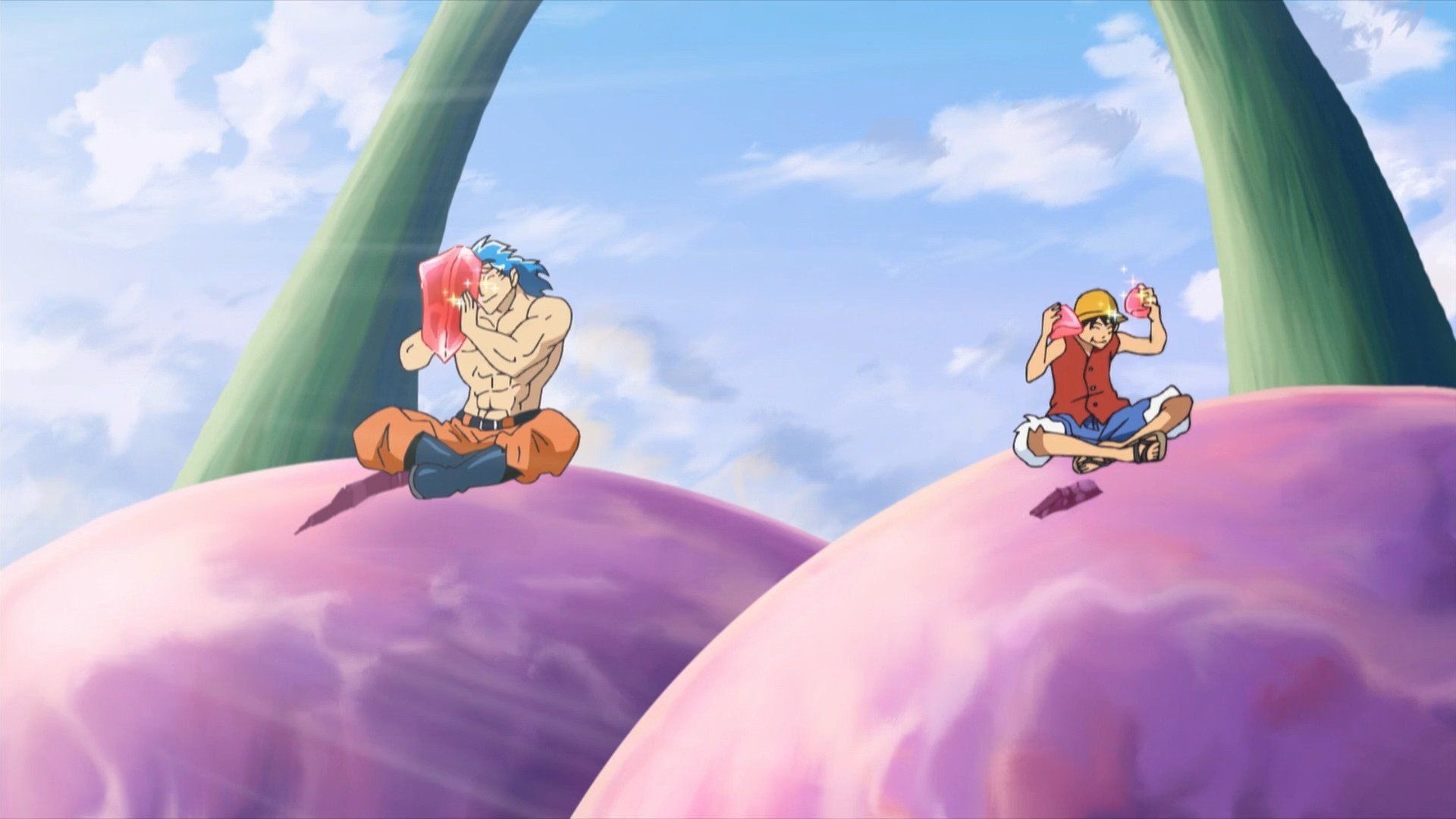 One Piece · Season 13 Episode 492 · The Strongest Tag-Team! Luffy