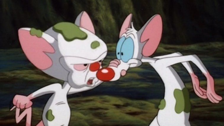 Pinky and the Brain - streaming tv show online