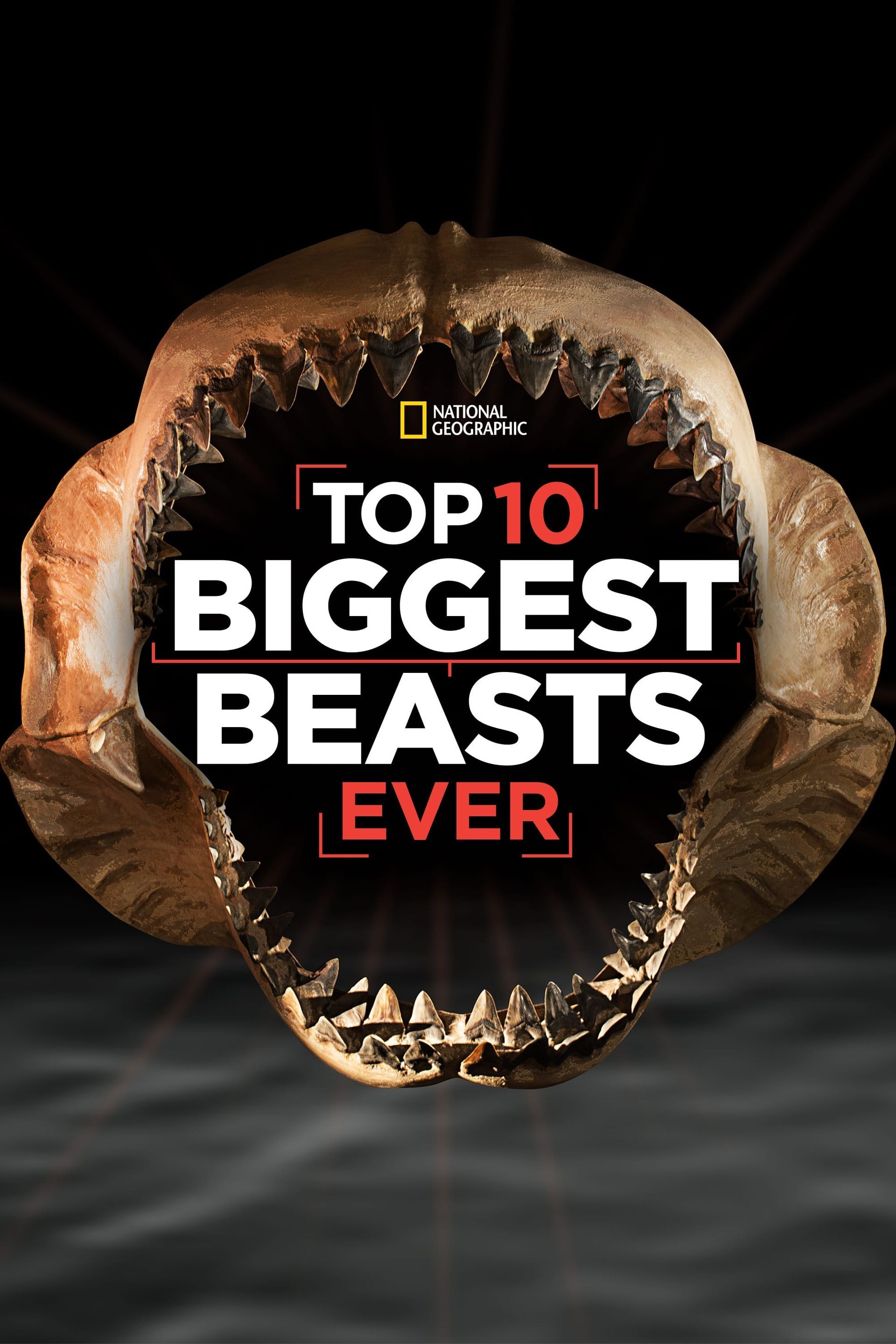 Watch Top 10 Biggest Beasts Ever 2015 Full Movie Online Plex