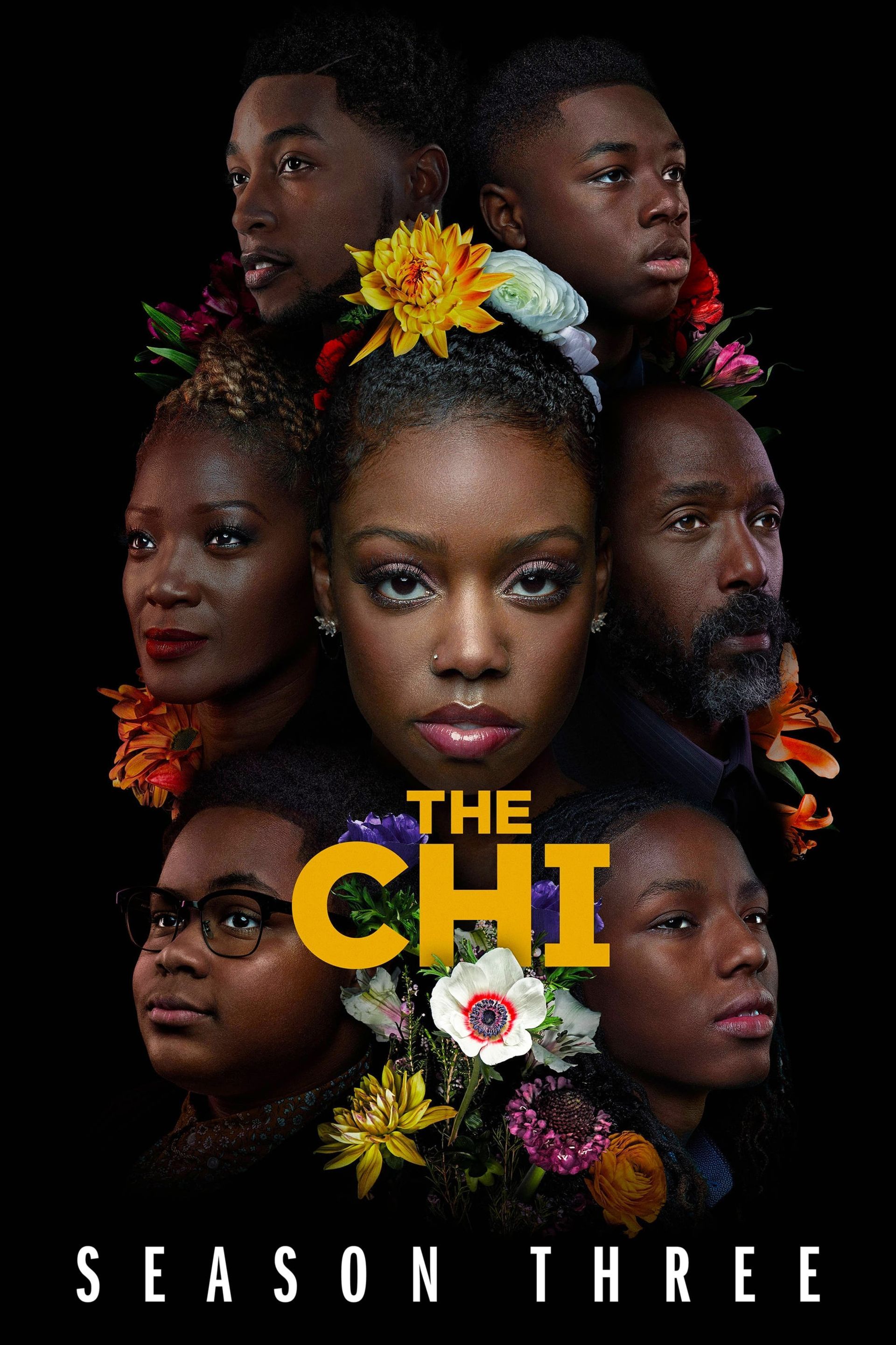 Watch The Chi Streaming Online - Try for Free