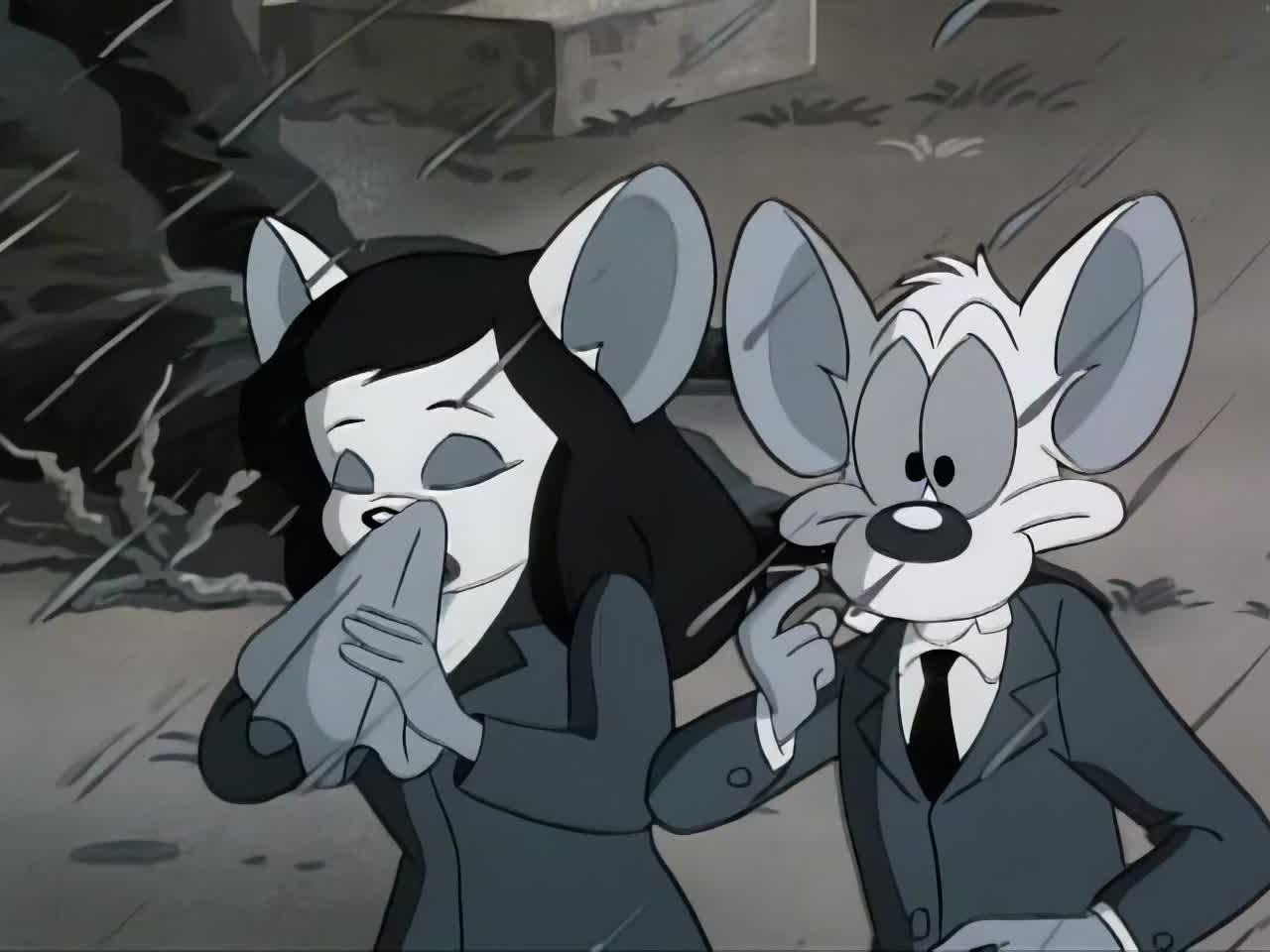 Pinky & the Brain: Season 1