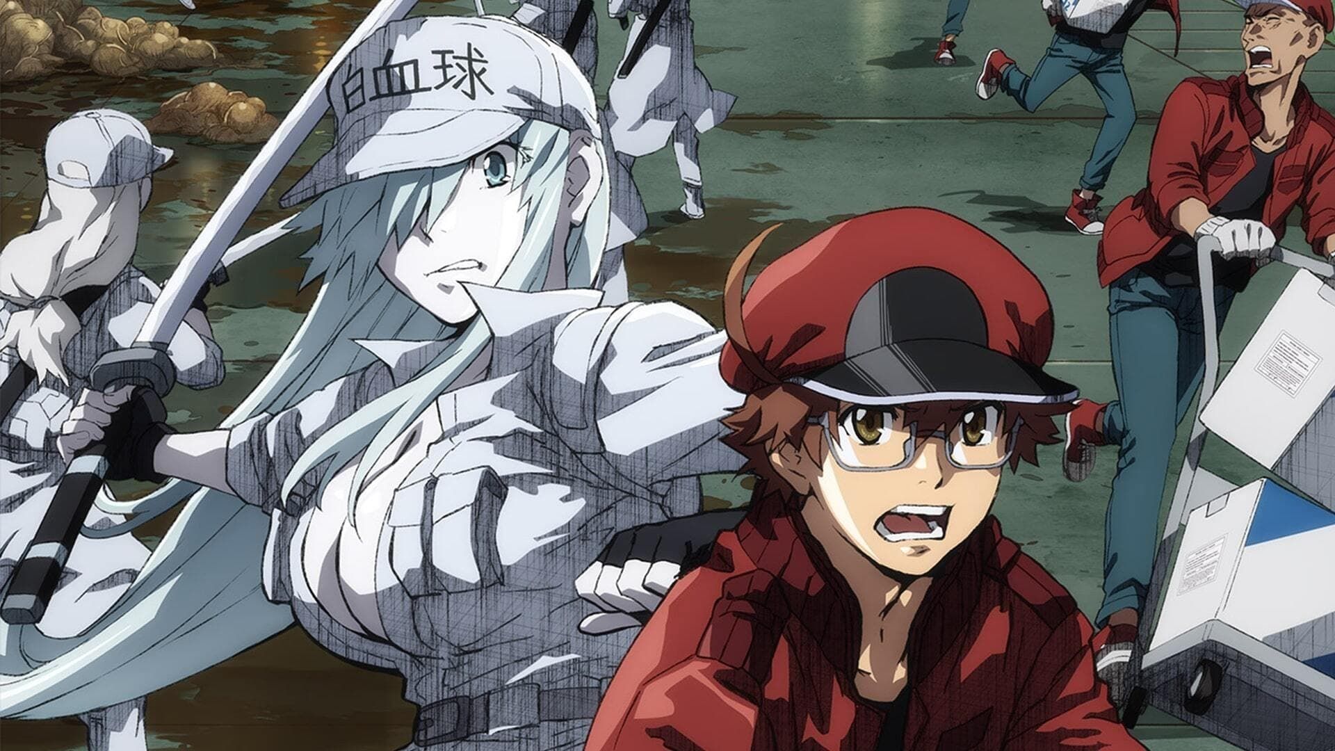 Hataraku Saibou Black (Cells At Work! Code Black)