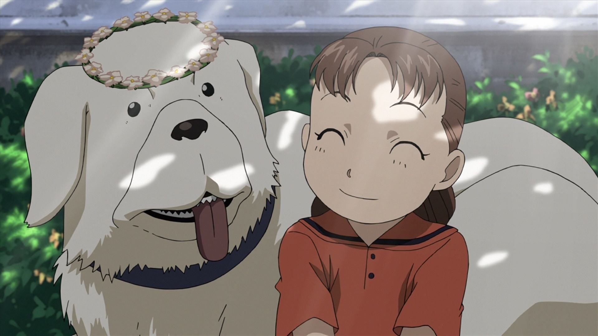 Watch Fullmetal Alchemist: Brotherhood · Season 1 Episode 36 · Family  Portrait Full Episode Online - Plex