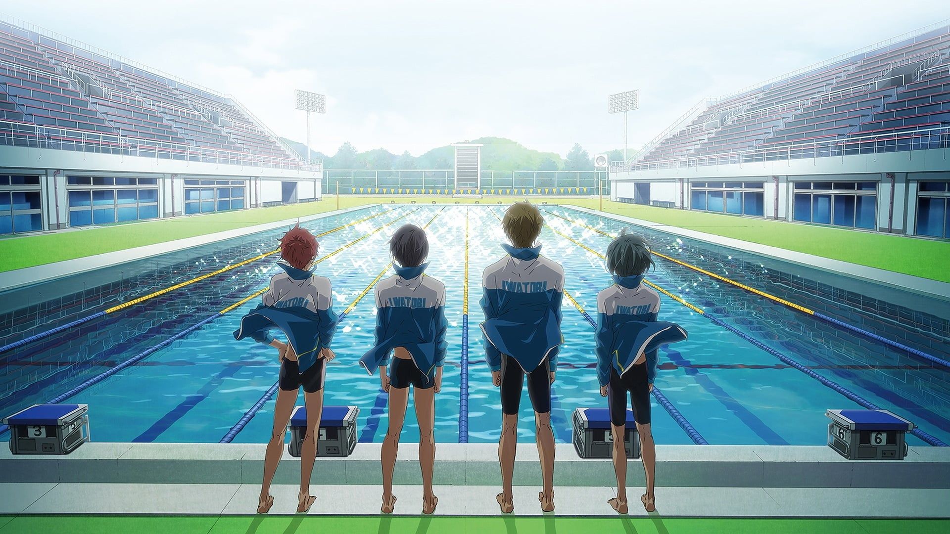Buy Anime Free! Iwatobi Swim Club - High Grade Laminated Online at  desertcartPhilippines