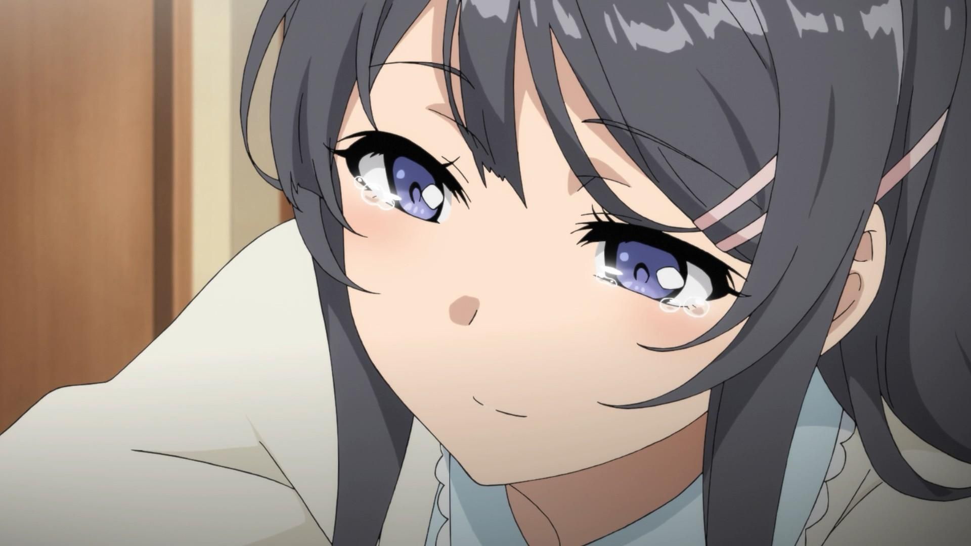 Watch Rascal Does Not Dream of Bunny Girl Senpai · Season 1 Full Episodes  Free Online - Plex