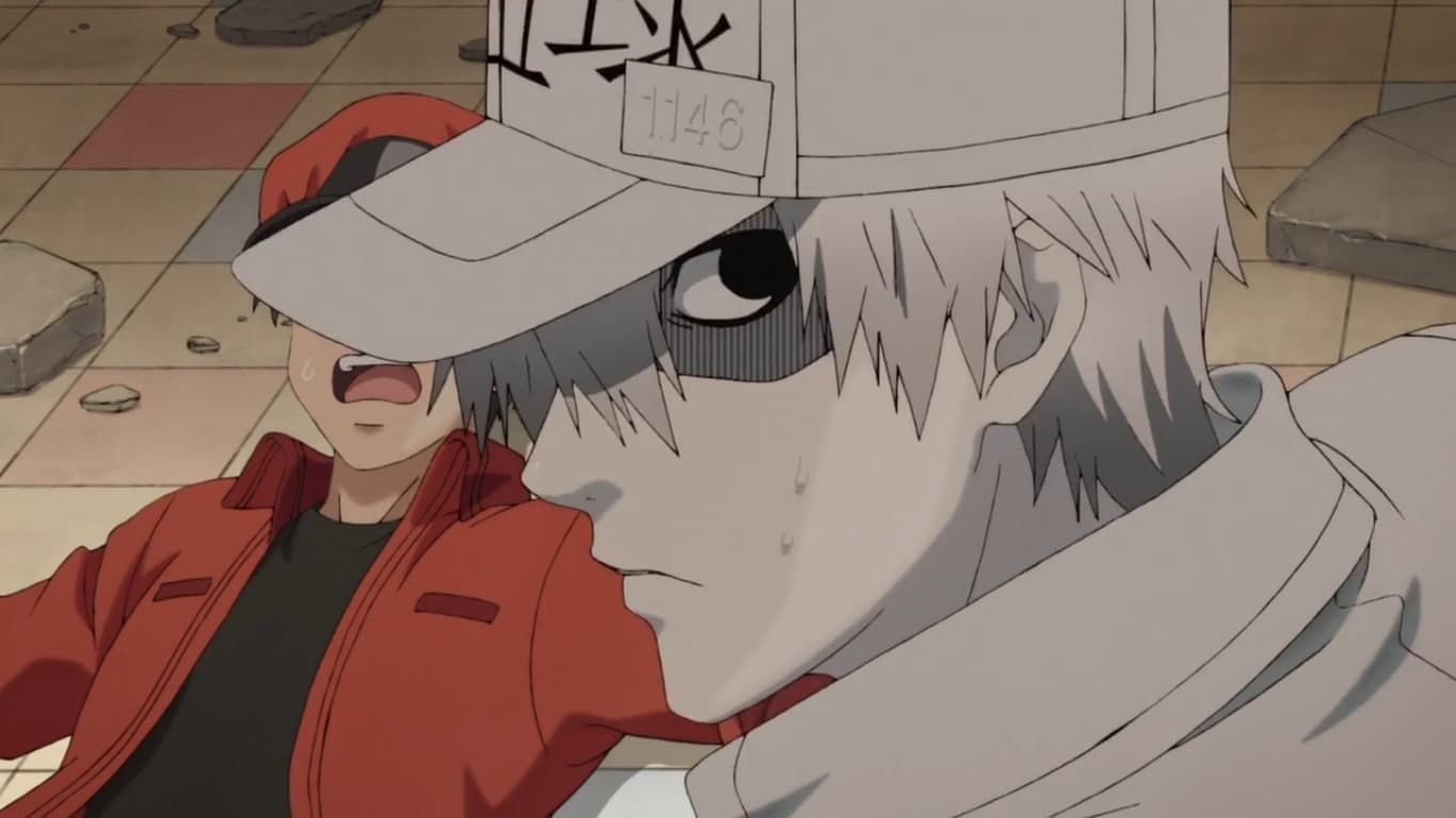 Watch Cells at Work! Streaming Online - Yidio