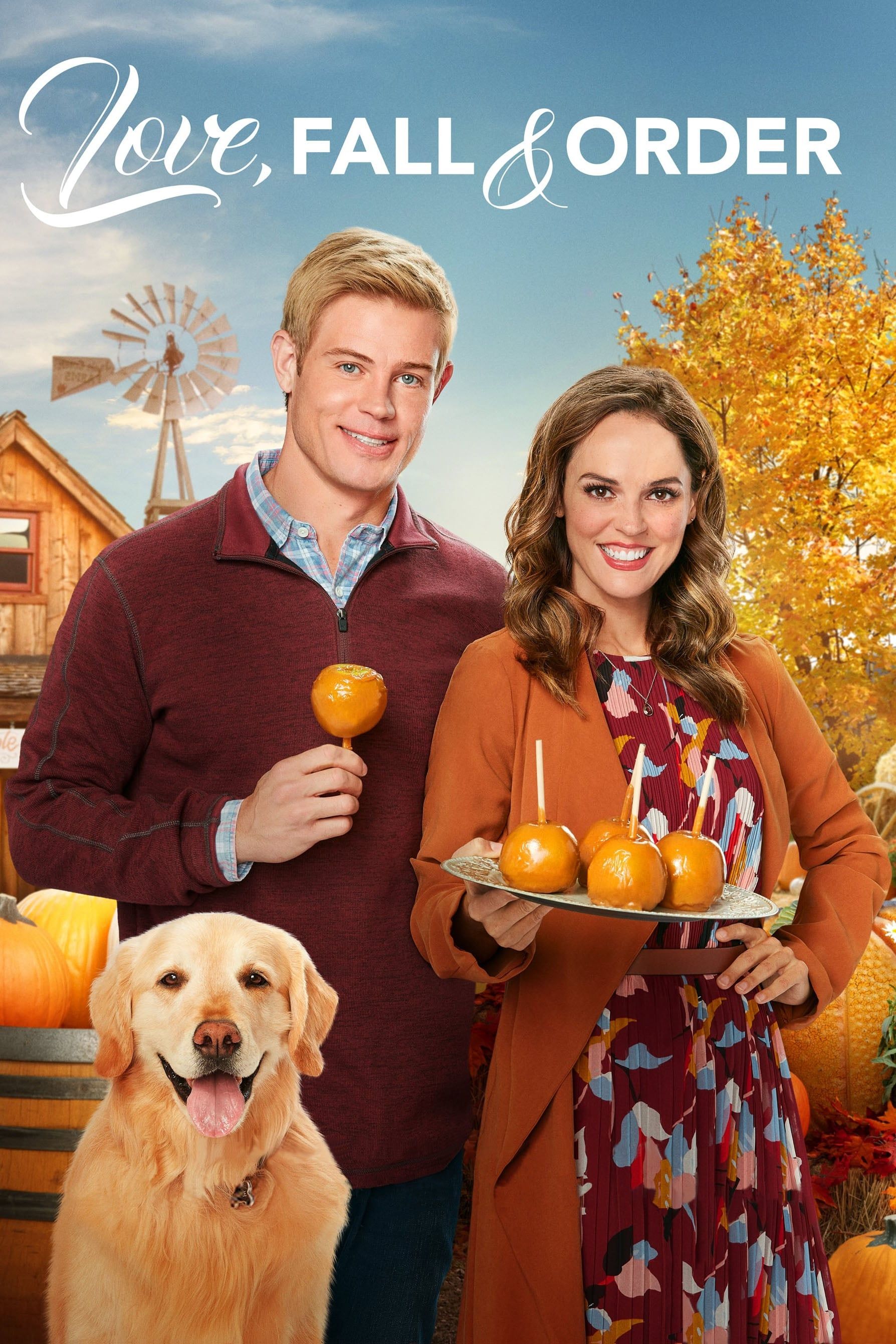 MARRY ME AT CHRISTMAS DVD HALLMARK MOVIE 2017 Trevor Donovan – TheTv Movies