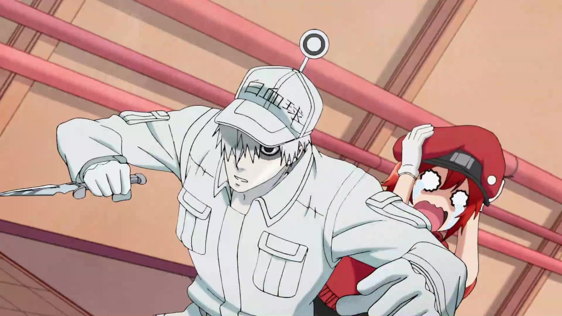 Watch Cells at Work! Streaming Online - Yidio