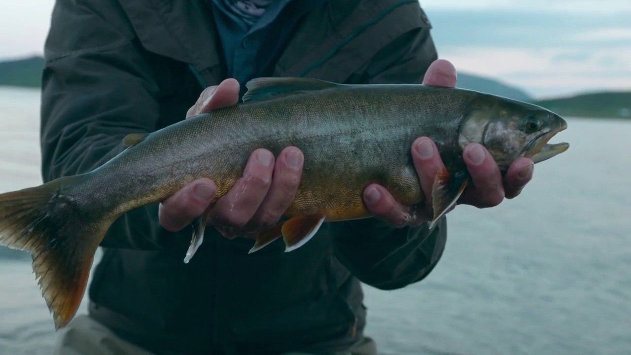 Unknown Waters With Jeremy Wade