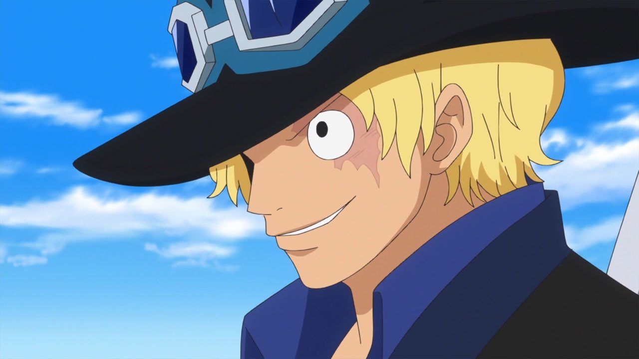 One Piece · Season 17 Episode 737 · The Birth of the Legend! The Adventures  of the Revolutionary Warrior Sabo! - Plex