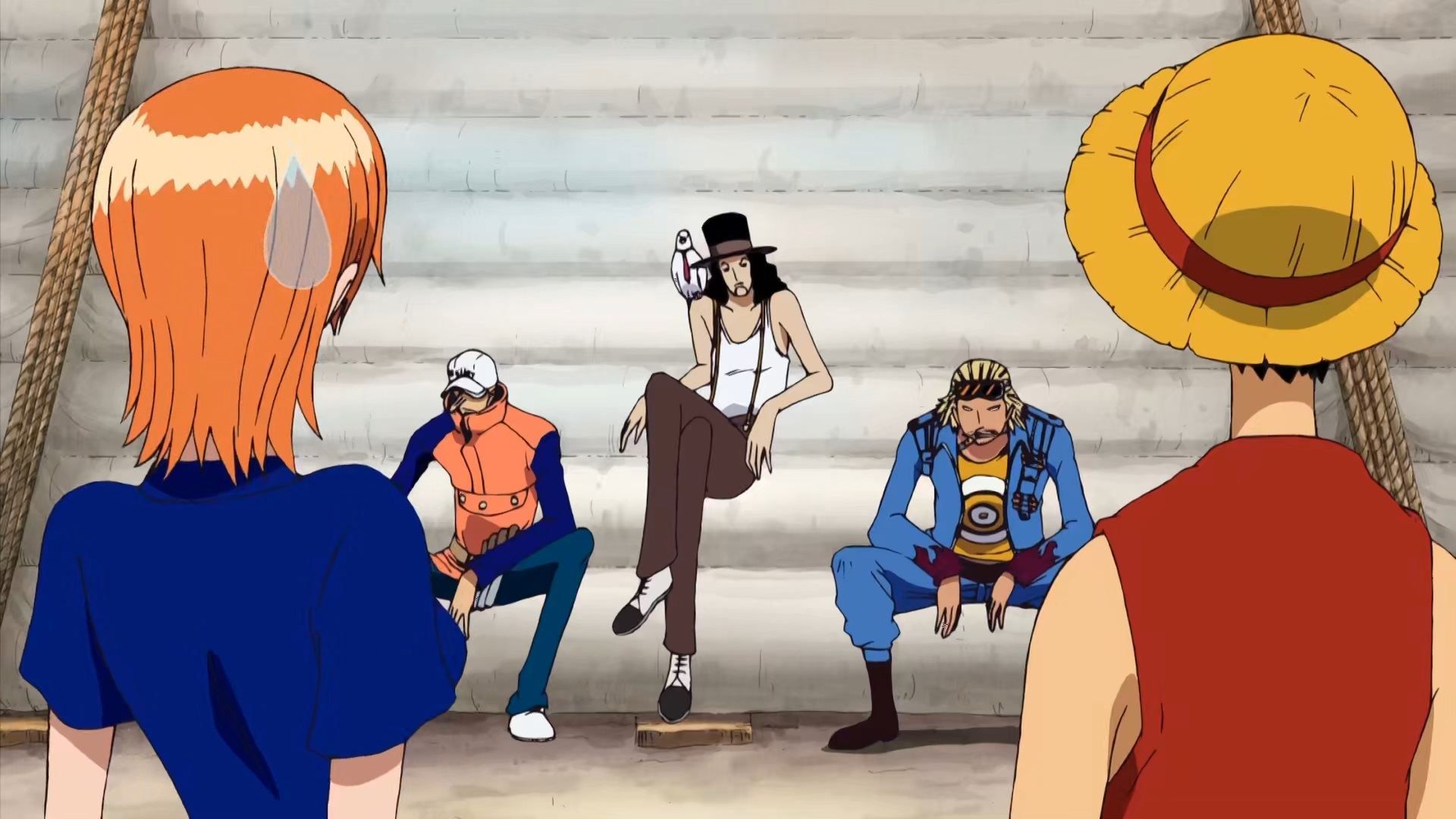 One Piece: Water 7 (207-325) (English Dub) A Mysterious Boy With a