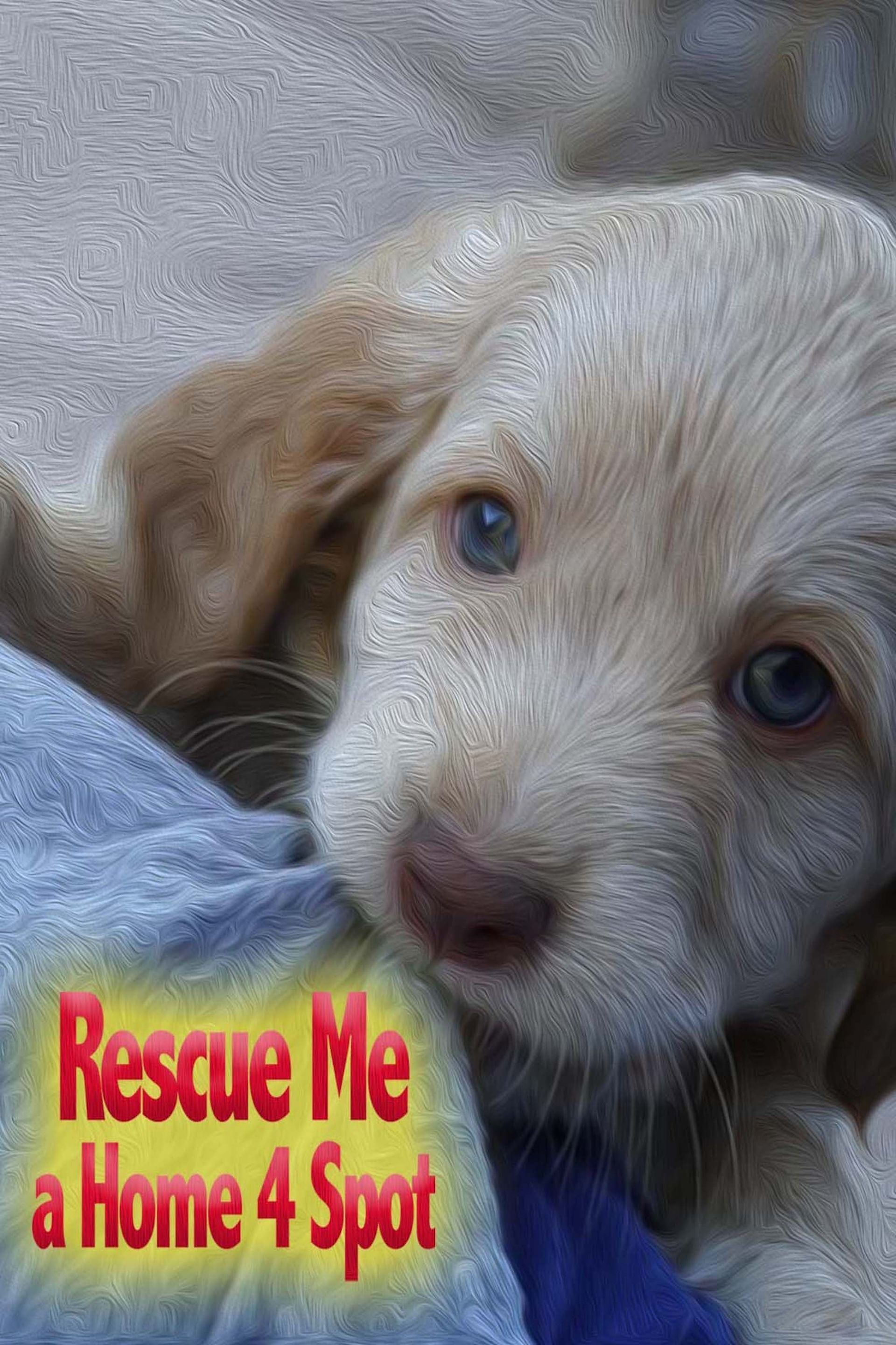 Watch Rescue Me