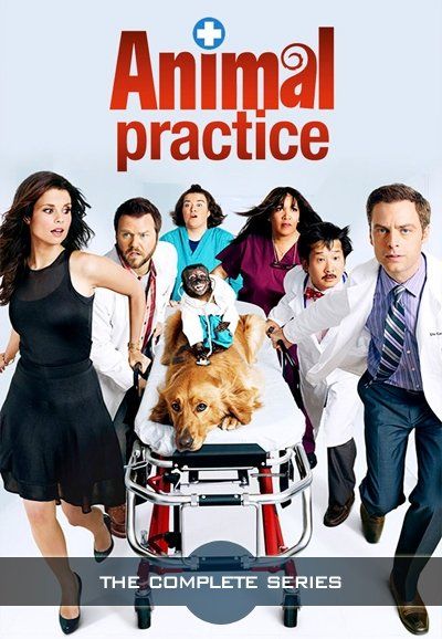 The Practice: The Complete Series (DVD)