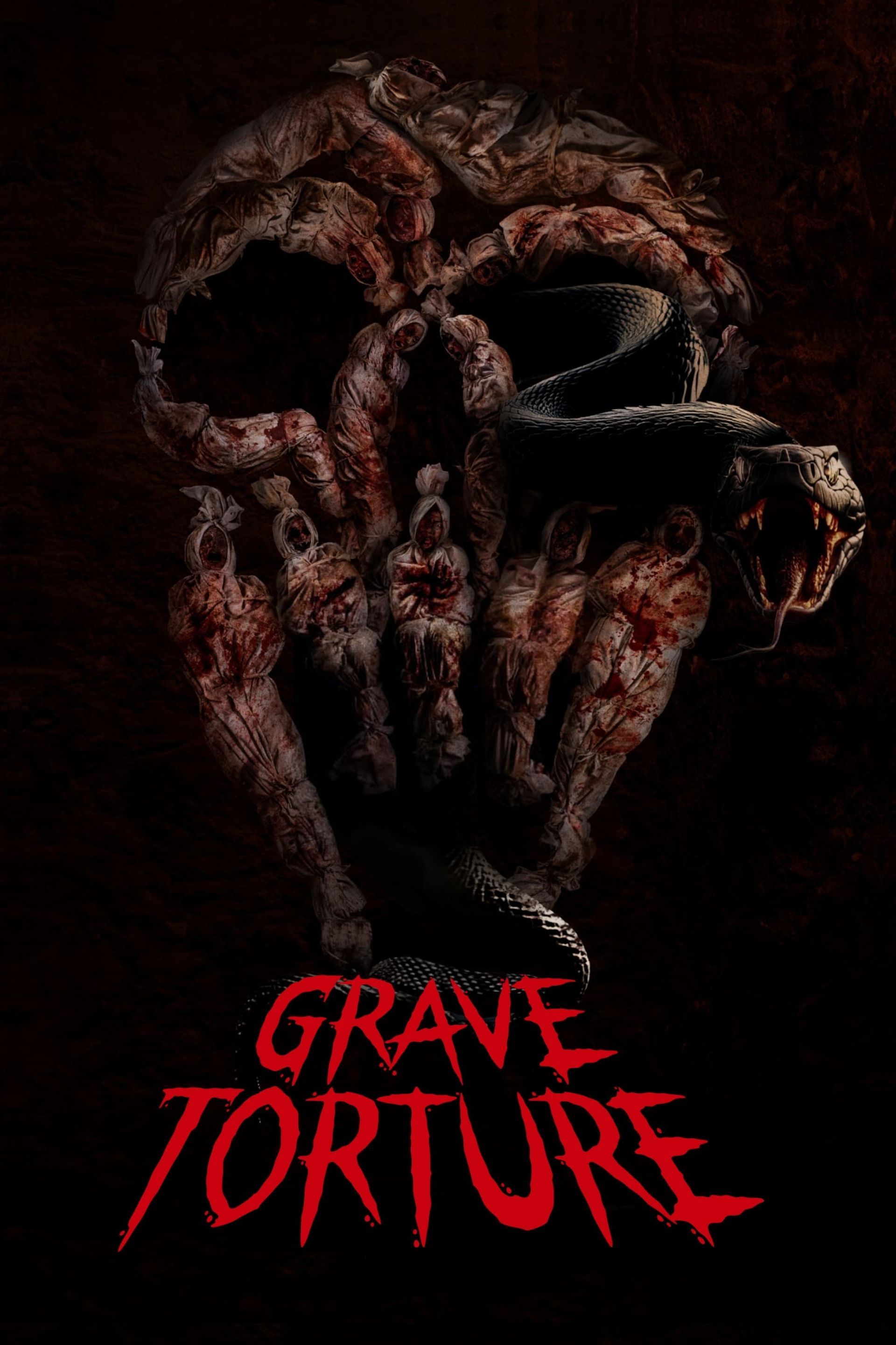 Watch Grave Torture (2024) Full Movie Online - Plex