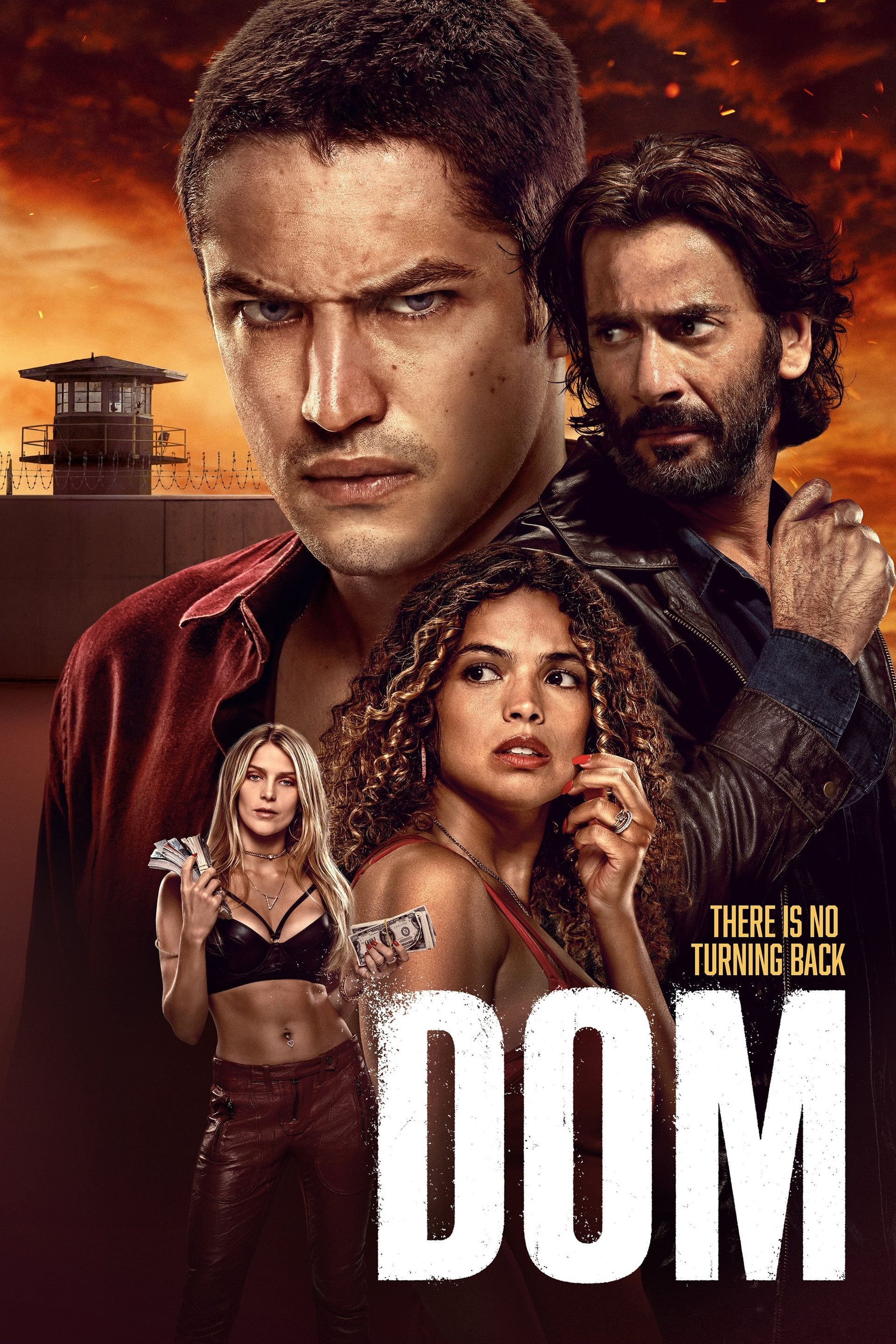 Dom (2024) S03 Hindi Dual Audio 720p | 480p AMZN HDRip ESub Download