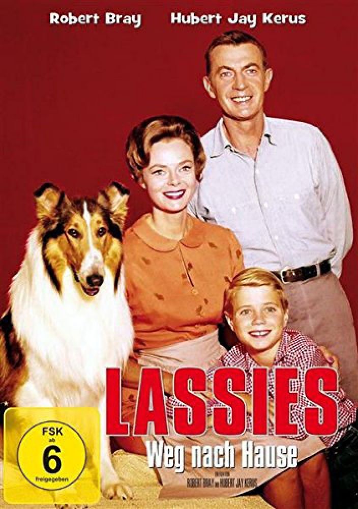 LASSIE: THE NEW BEGINNING - FREE FULL FAMILY MOVIE 🎥🐶 