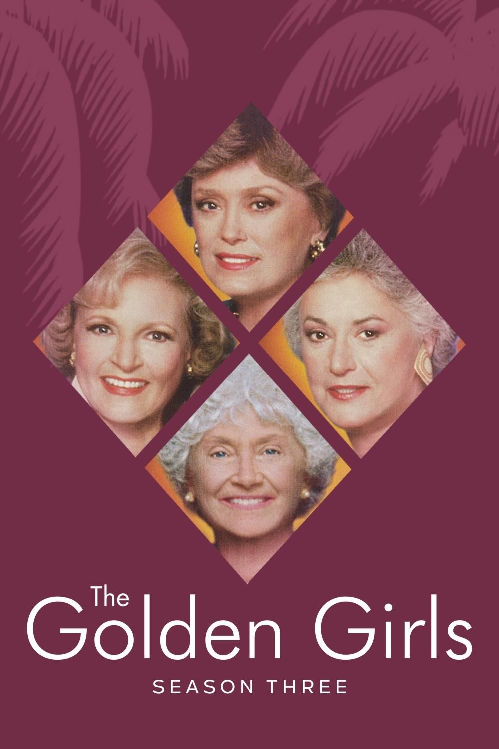 Watch The Golden Girls Season 3