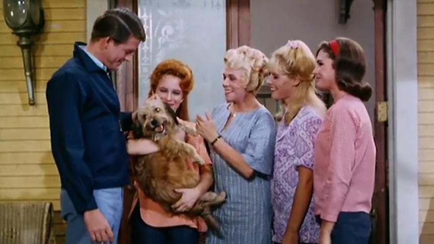 Petticoat Junction: Season 4