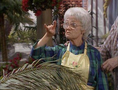 The Golden Girls Season 1 - watch episodes streaming online