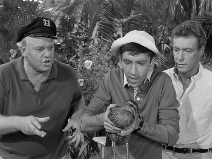 Watch Gilligan's Island · Season 1 Full Episodes Free Online - Plex