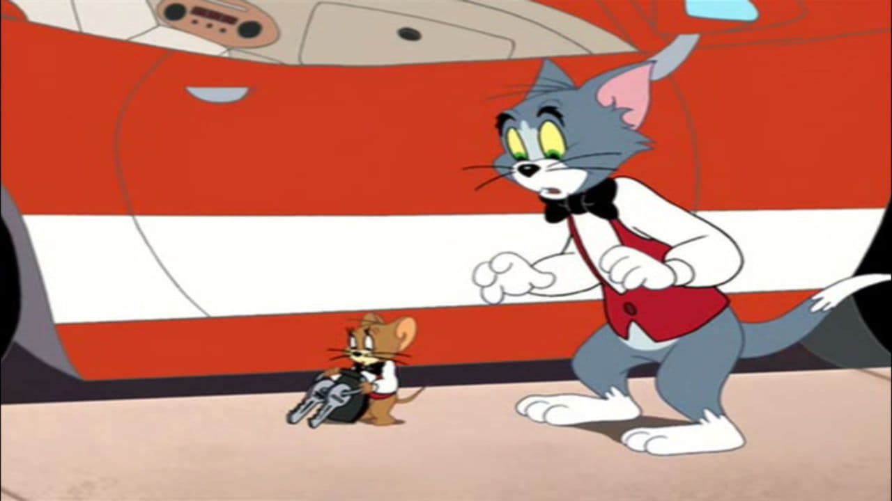 Tom And Jerry S1- Tiger Cat Episode 1 1, Tiger Cat, Season 1 Episode 1, Tom And Jerry Tales Cartoon