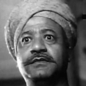 Photo of Mohamed Kamel