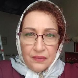 Photo of Fariba Jeddikar