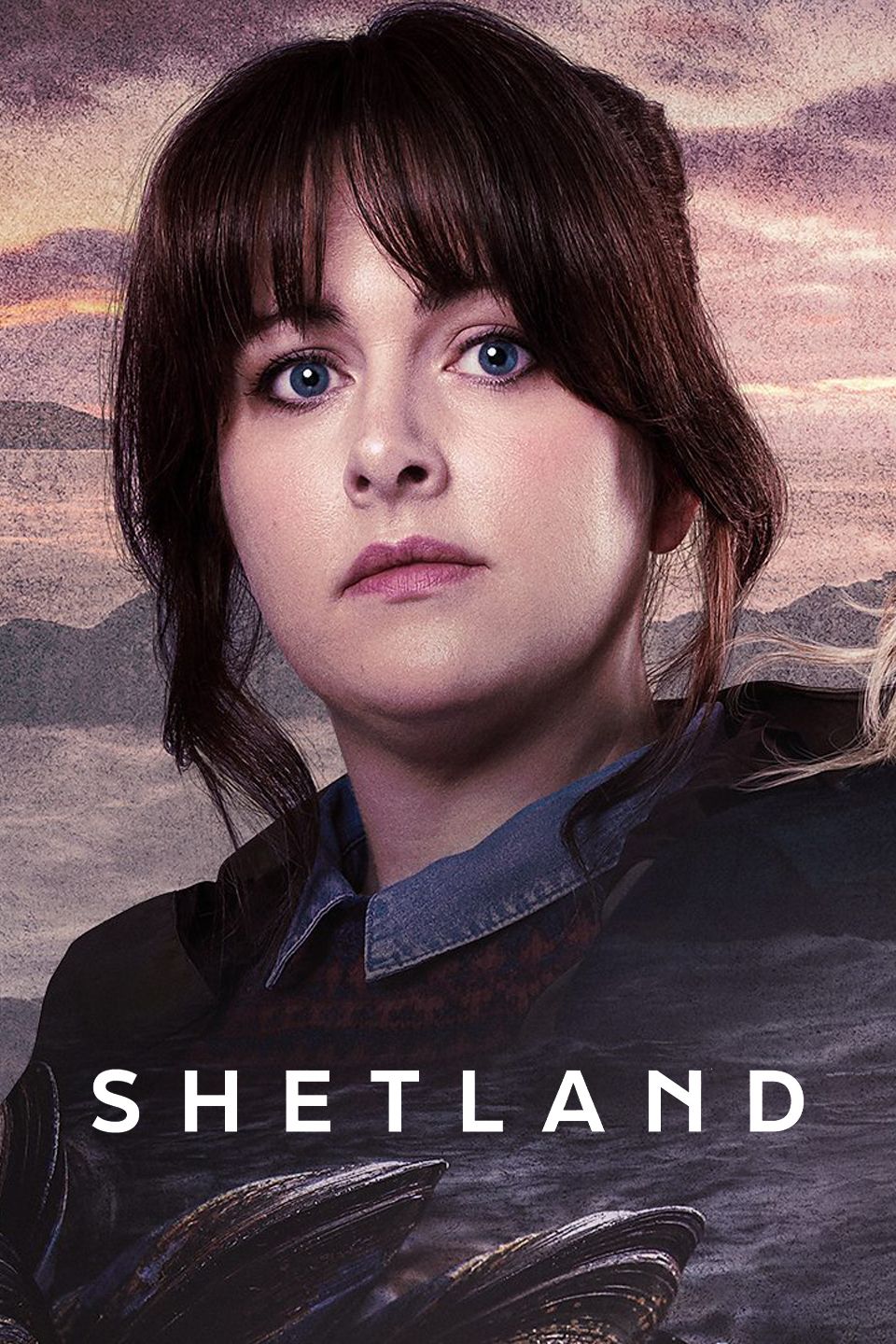 Watch Shetland (2013) TV Series Online Plex