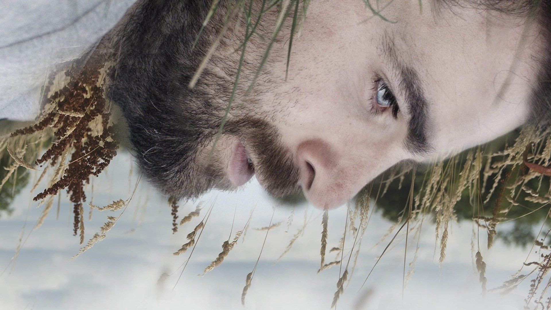 Watch Polar (2019) Full Movie Free Online Plex