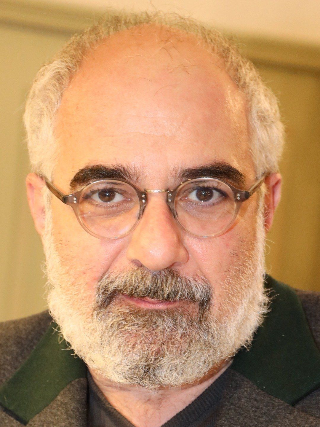 Photo of Michael Niavarani