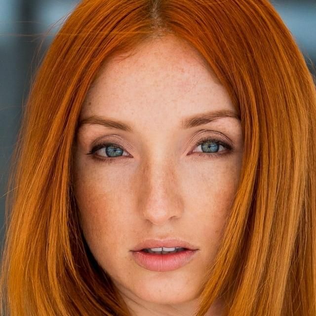 Photo of Red Fox